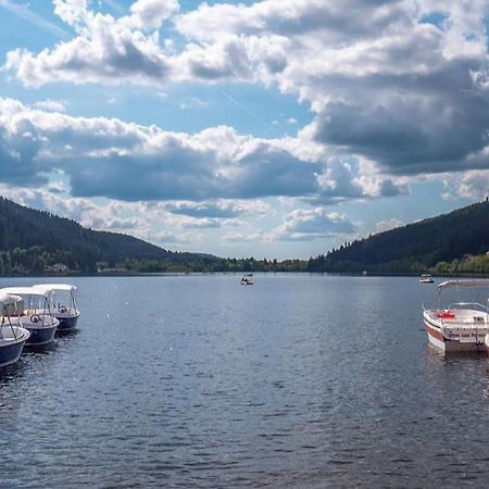 Studio Cosy Ambiance Vosgienne A 20 Mn De Gerardmer Lepanges-sur-Vologne Exterior foto