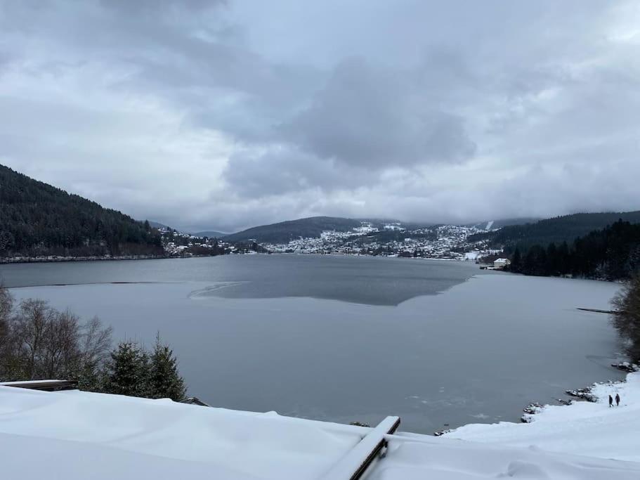 Studio Cosy Ambiance Vosgienne A 20 Mn De Gerardmer Lepanges-sur-Vologne Exterior foto