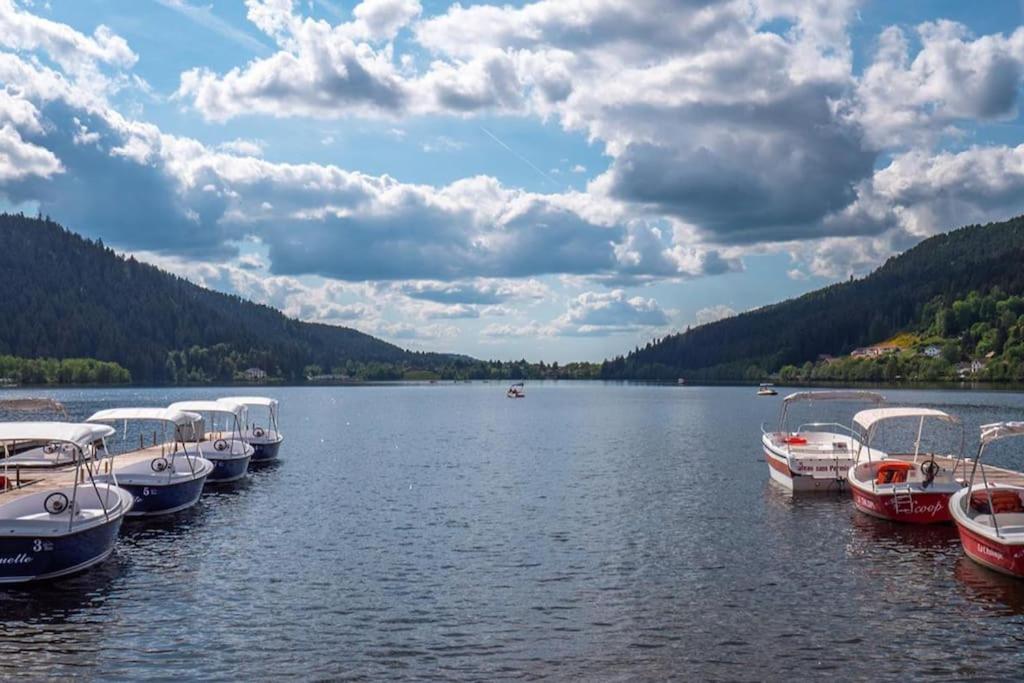 Studio Cosy Ambiance Vosgienne A 20 Mn De Gerardmer Lepanges-sur-Vologne Exterior foto