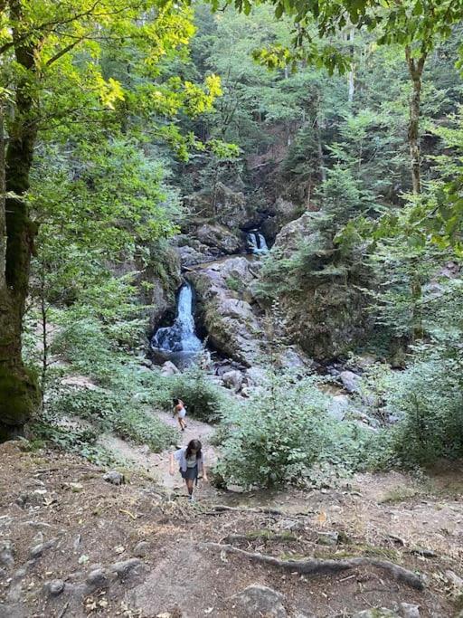Studio Cosy Ambiance Vosgienne A 20 Mn De Gerardmer Lepanges-sur-Vologne Exterior foto